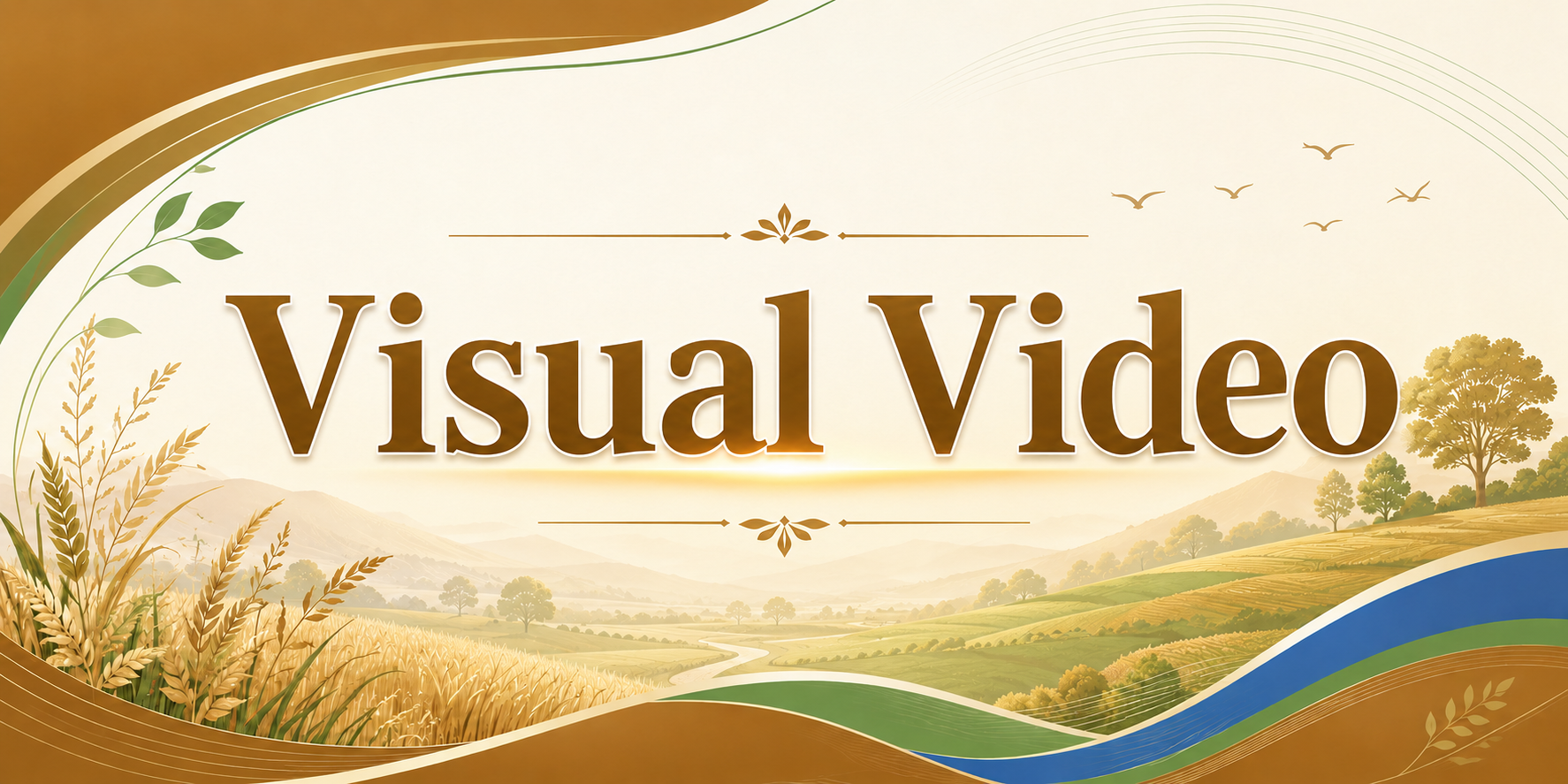 Visual Video